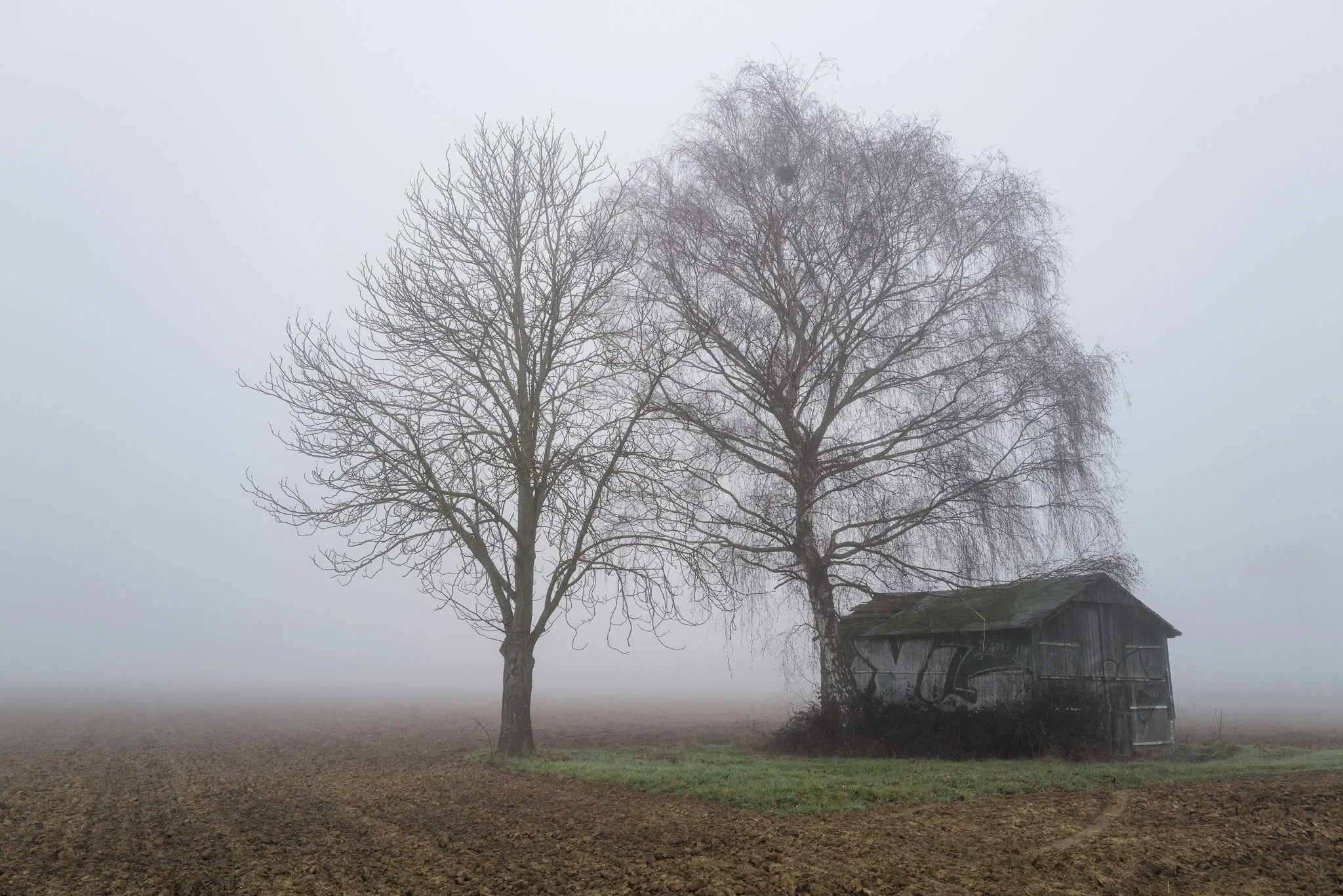grüne insel (limburg an der lahn, 2023)