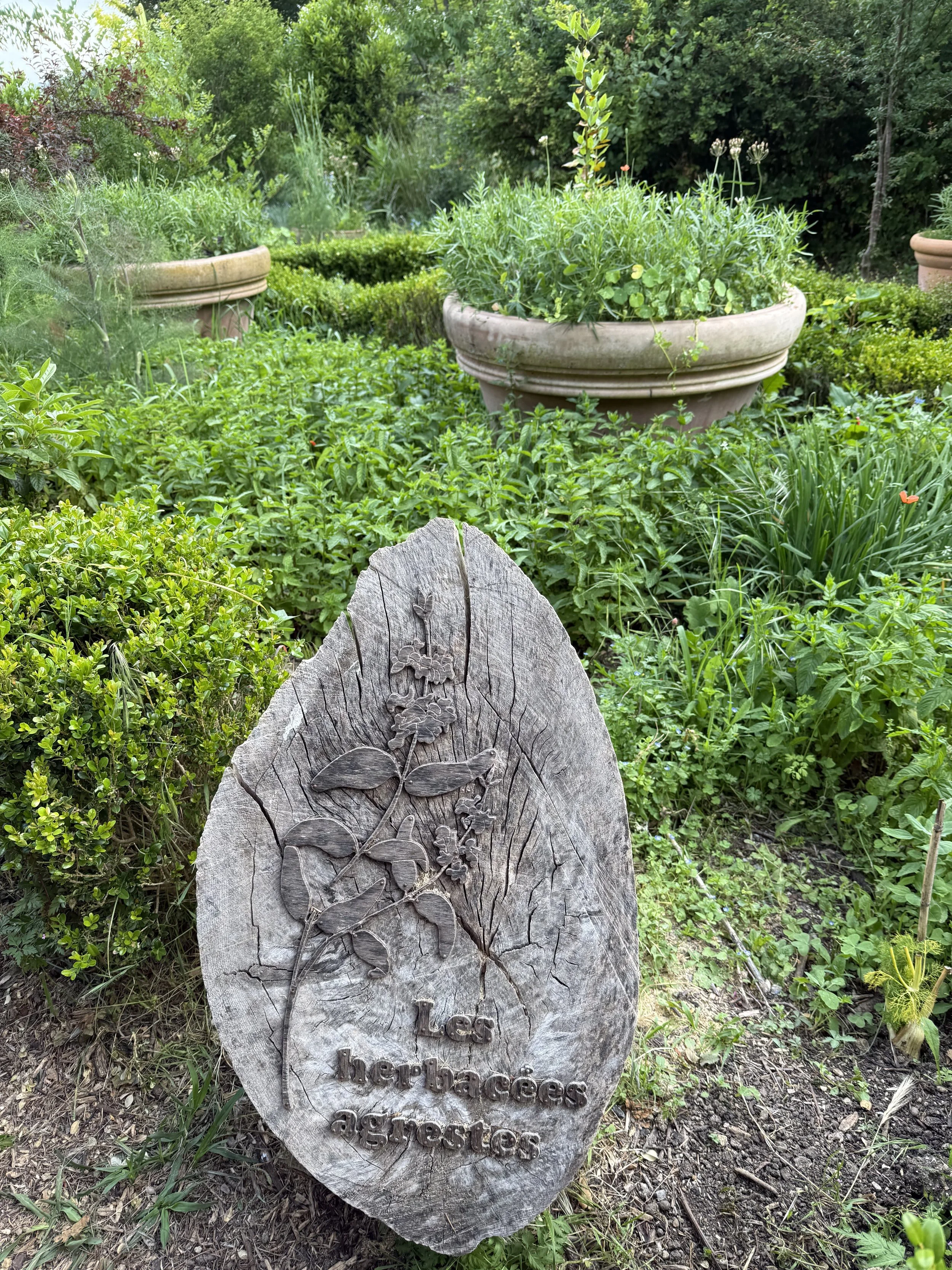 Mitä löytyi entisajan puutarhoista ja mitä sieltä olisi hyvä löytyä nyt?