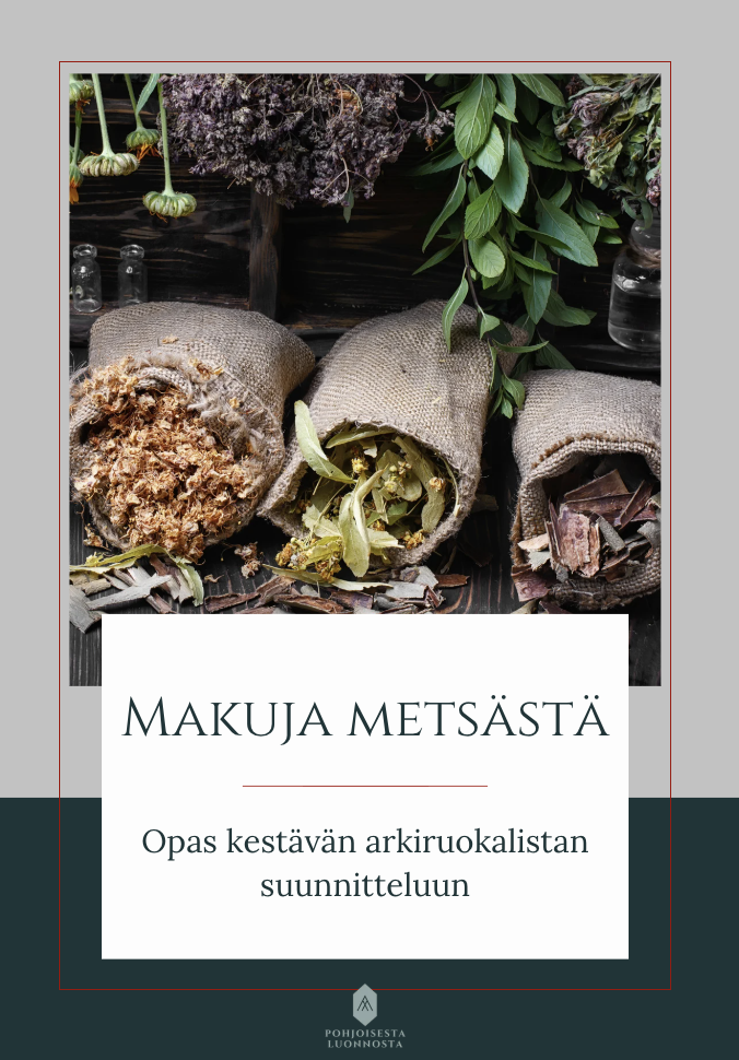 Makuja metsästä - opas kestävän arkiruokalistan suunnitteluun