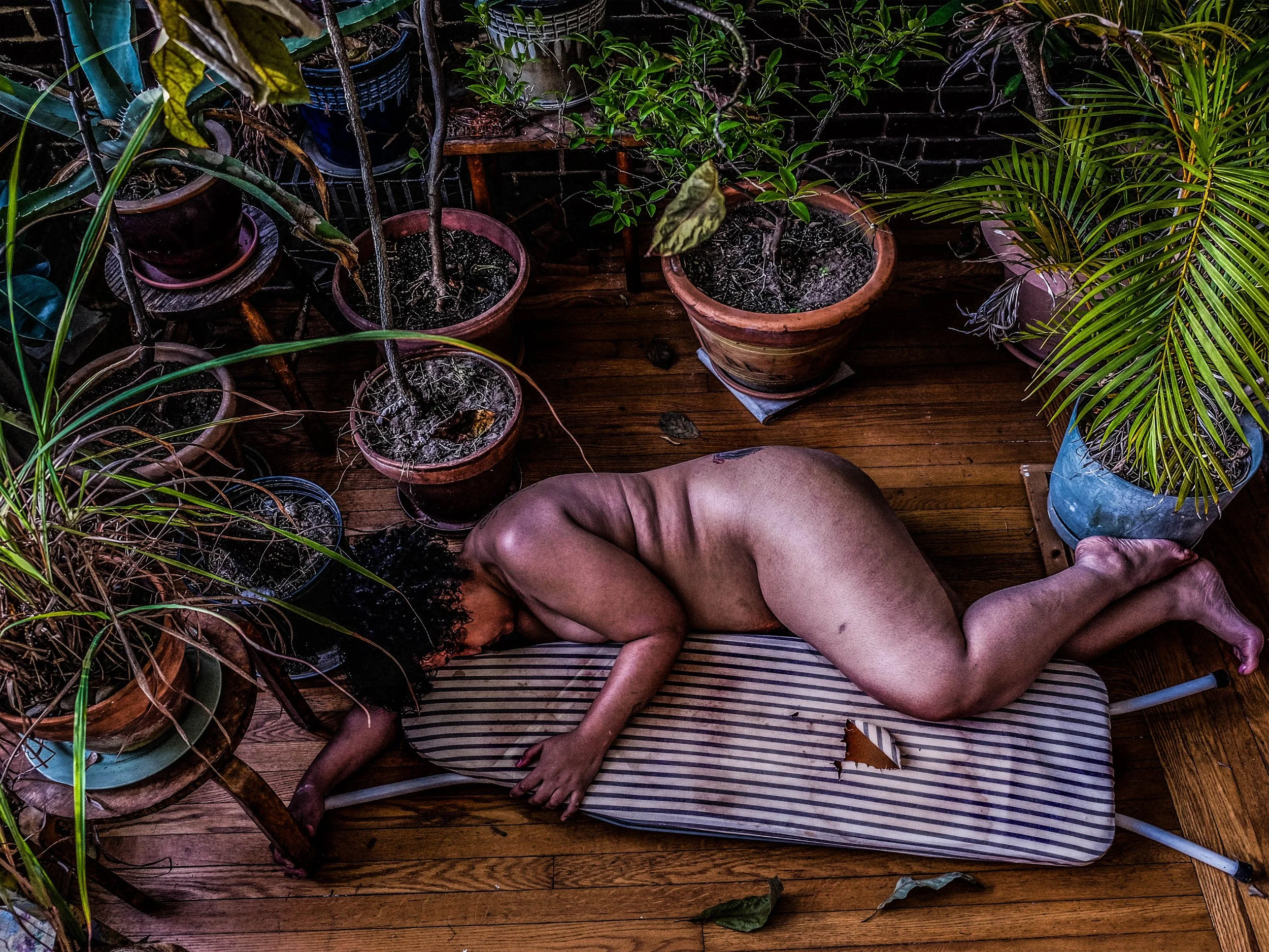 Three Pregnancies and a Death