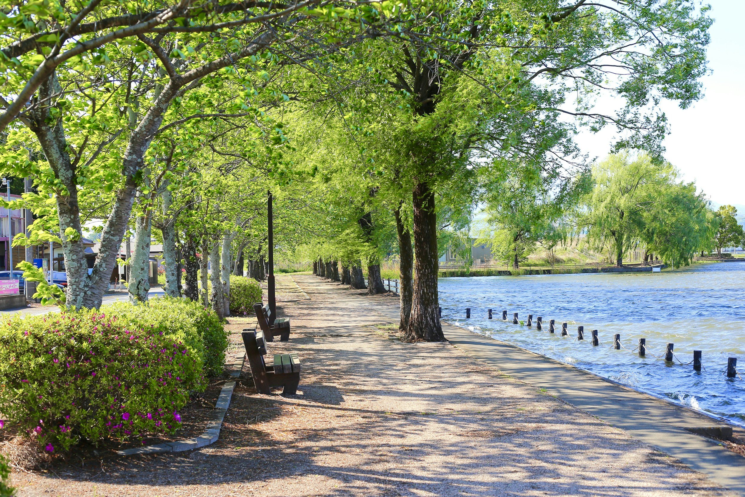 Battersea Park Walk
