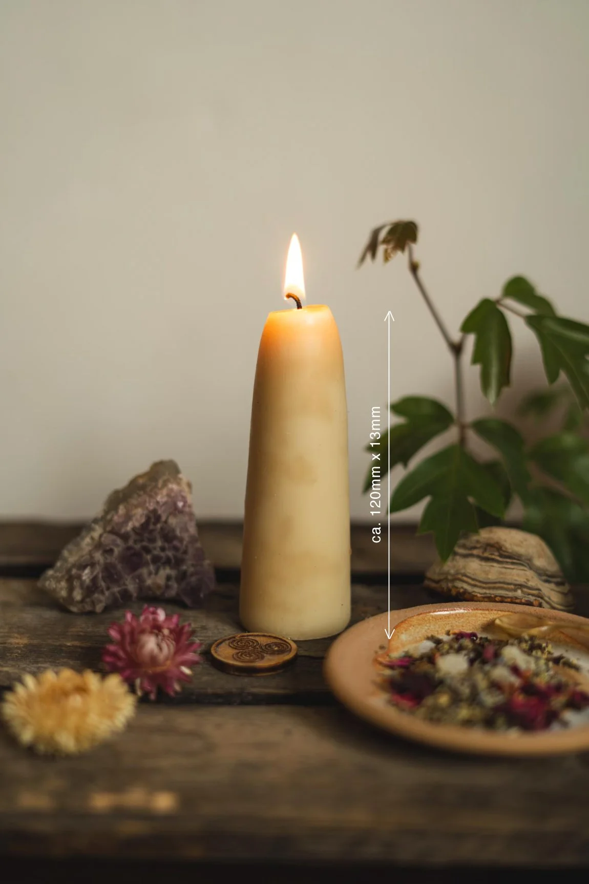 Bildschirmfoto 2026-01-22 um 17.43.34.jpg