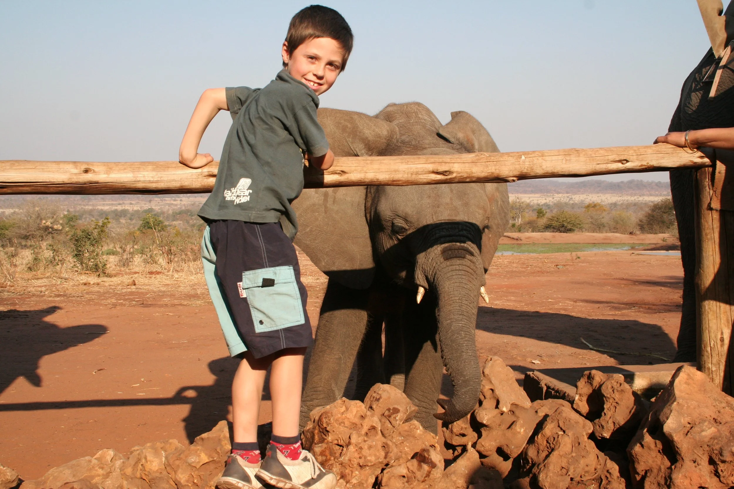 Elephant Interaction.JPG