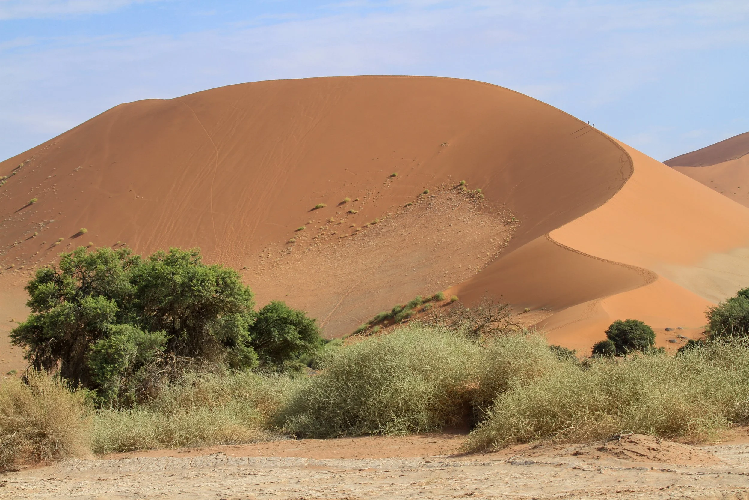 Namibia Sand General 2 — Simply Africa