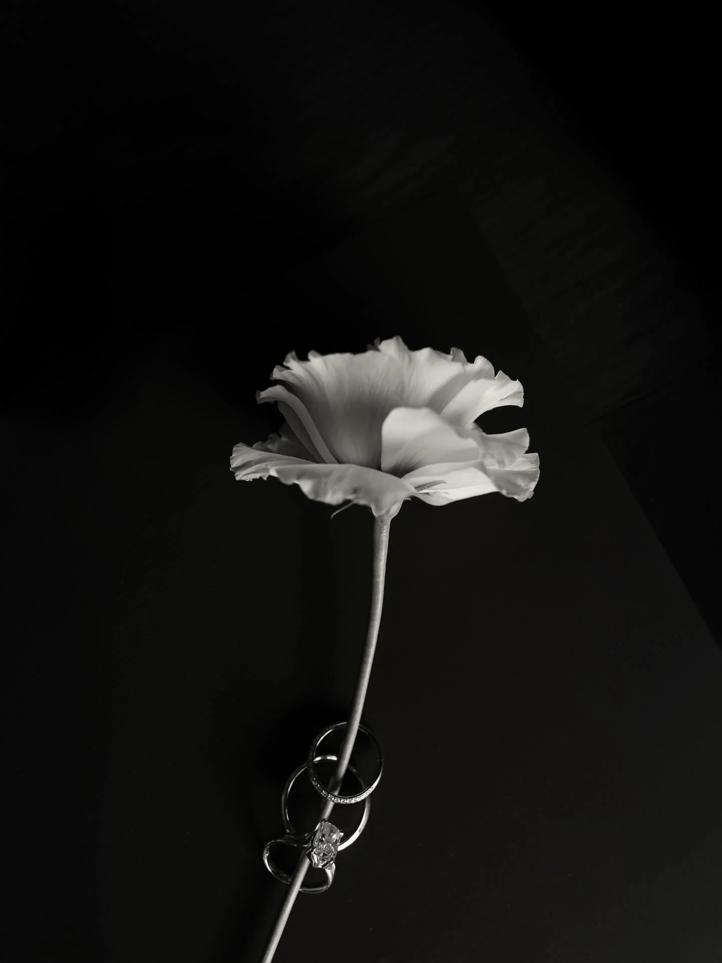 Silvana &amp; Joel 🤍
Cuando piensas que ya lo viste todo &hellip; &iexcl;los novios nos sorprendieron a todos con @kalimbaofficial las luces, m&uacute;sica, energ&iacute;a y mil detalles que Sil &amp; Joel pensaron con tanto amor 
Venue @haciendaaca