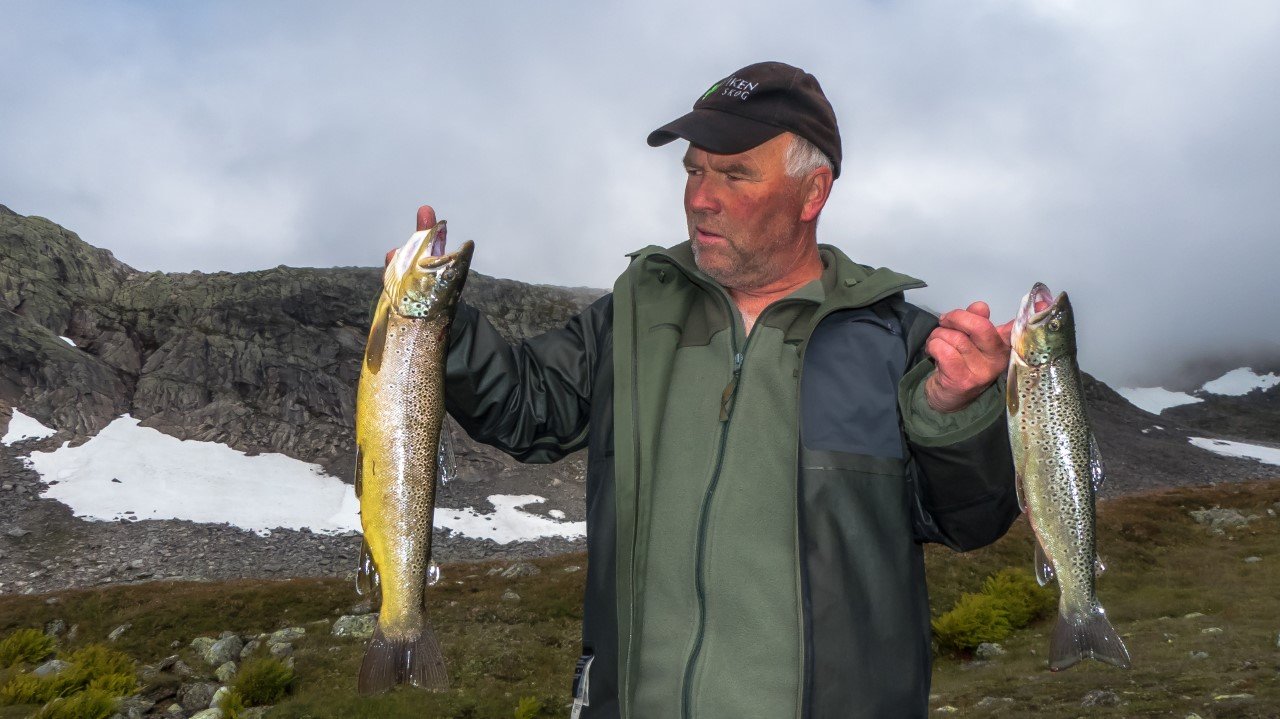 Fottur gjennom Børgefjell med start Namsvatnet. Foto: Bjørn Elnan 2021