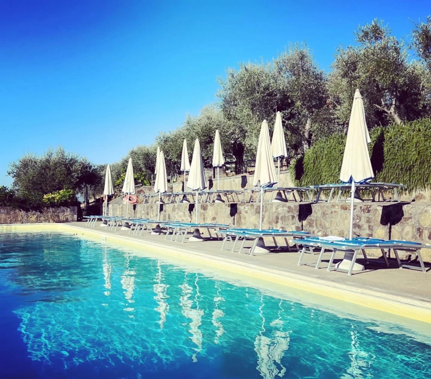 Empty swimming pool with blue water, white lounge chairs, closed white umbrellas, and green trees against a clear blue sky.