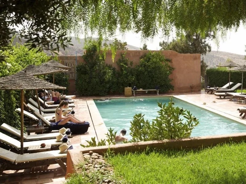 People relaxing on lounge chairs by a swimming pool in a garden, with umbrellas and lush greenery.