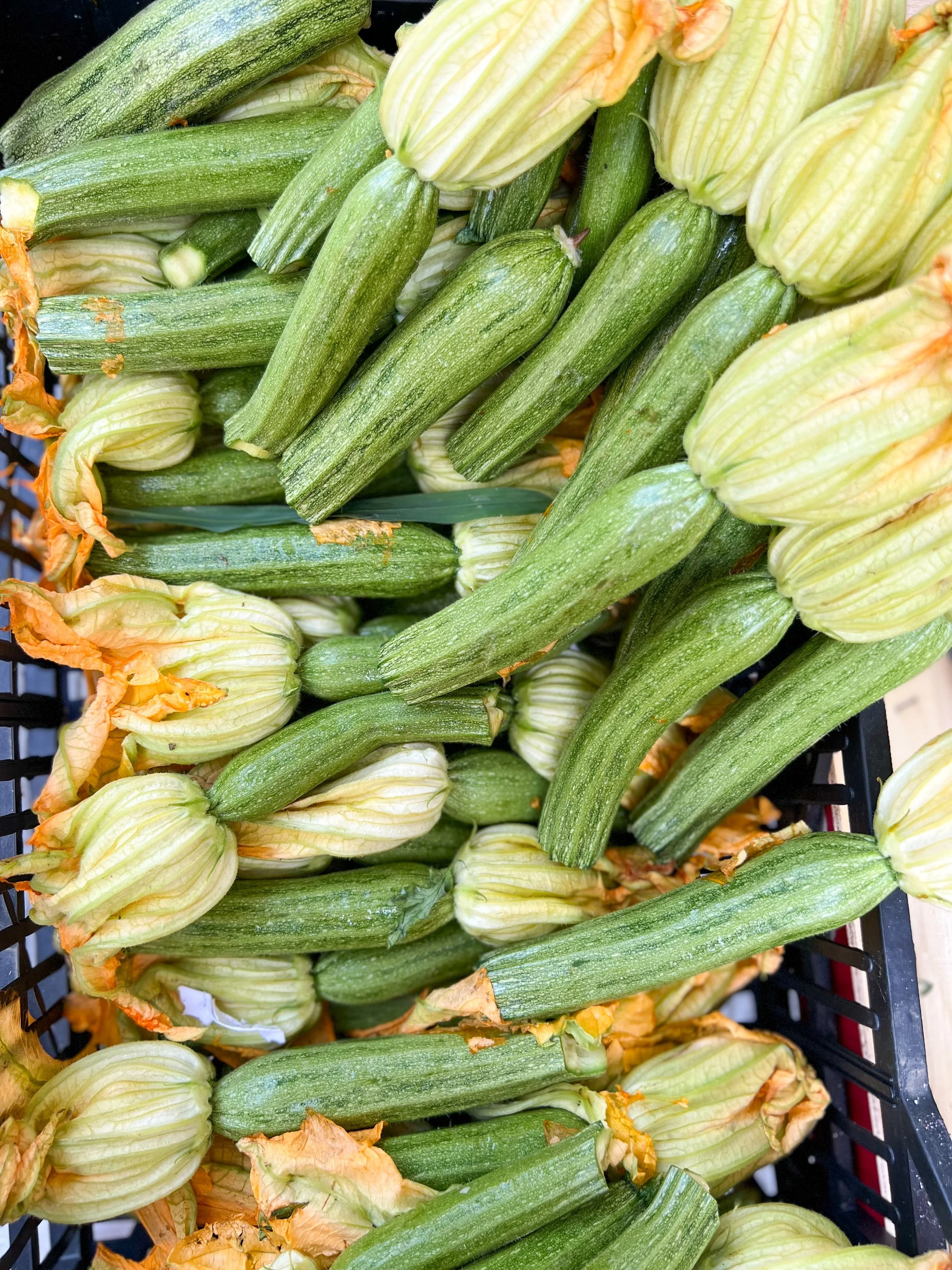 Yoga Retreat Tuscany