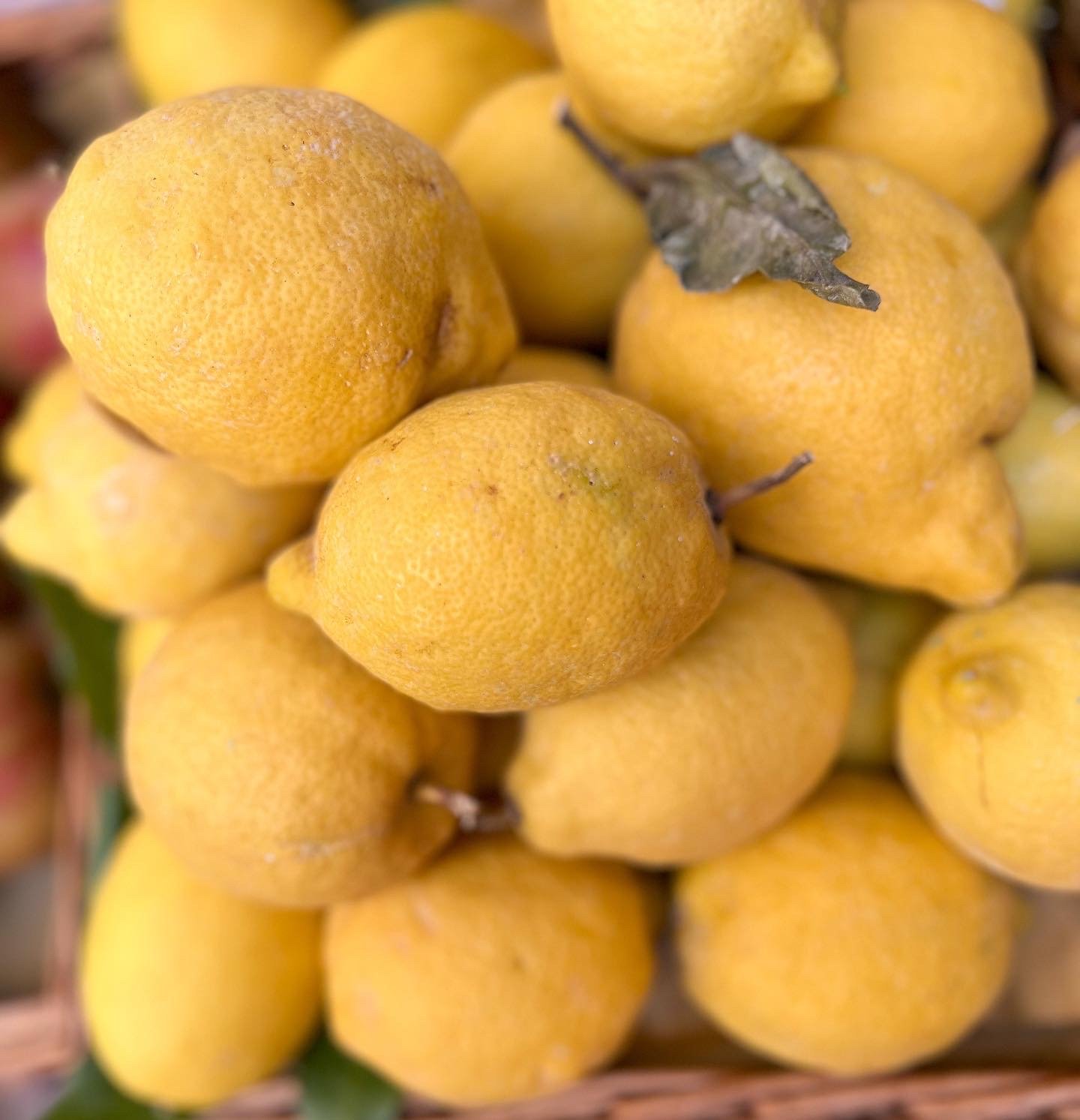 Yoga Retreat in Tuscany