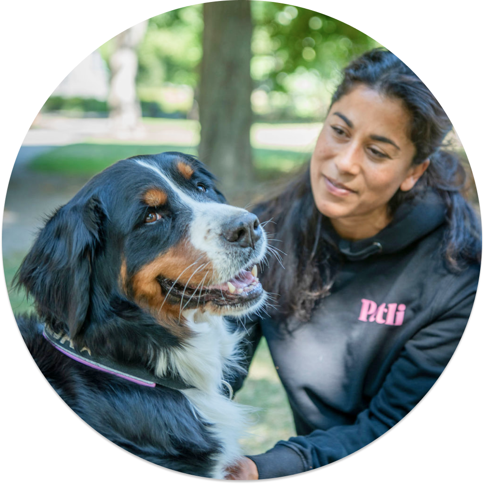 Petli Hundstallet x Petli Webinar on the Whole Dog - Petli