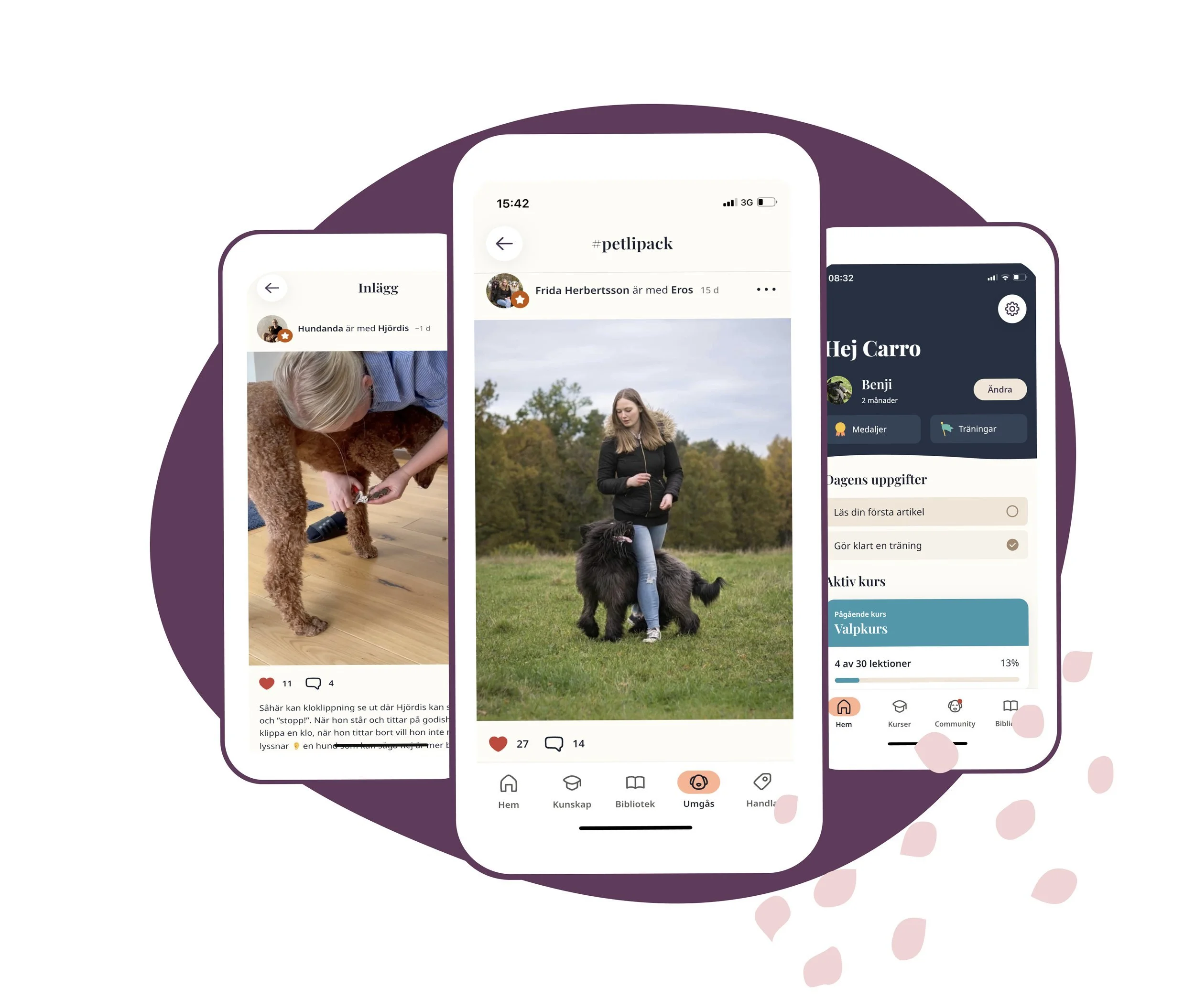 Petli 5 Benefits of Subscribing to the Petli App! - Petli