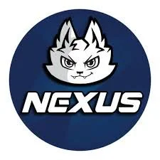 Logo of a stylized cat with a serious expression and the text 'NGXUS' on a blue circular background.