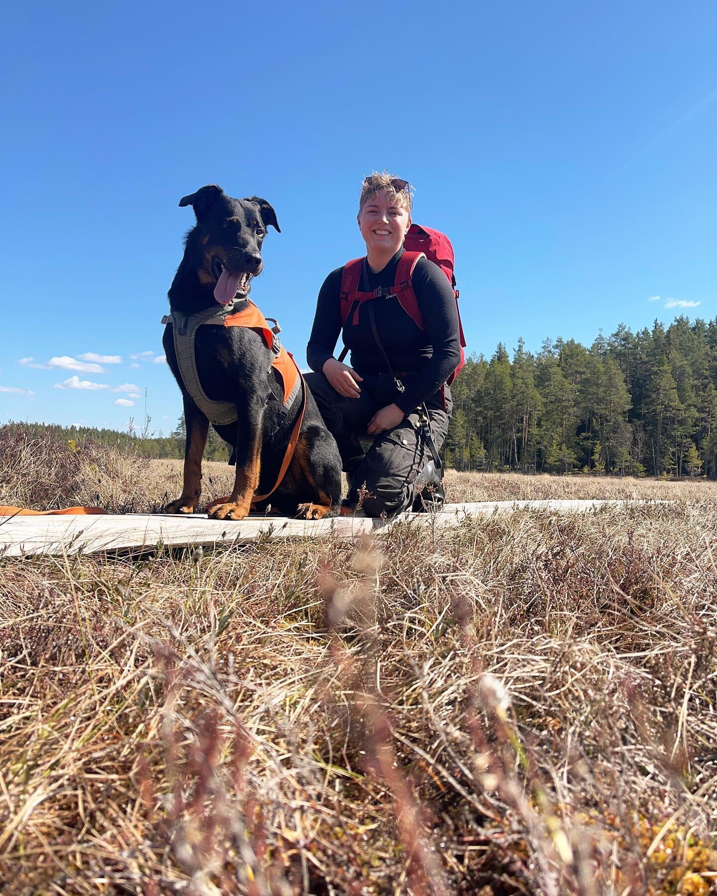 Onnea on pieni el&auml;in, jonka kanssa seikkailla.

Suo ja mets&auml; alkaa jo tuoksua kes&auml;lt&auml;, kun hetkelliset l&auml;mp&ouml;aallot tuulahtaa kasvoille. Kuivuus rapisee jalkojen alla ja tuuli natisuttaa puita. Pitkospuut taipuvat, jousta