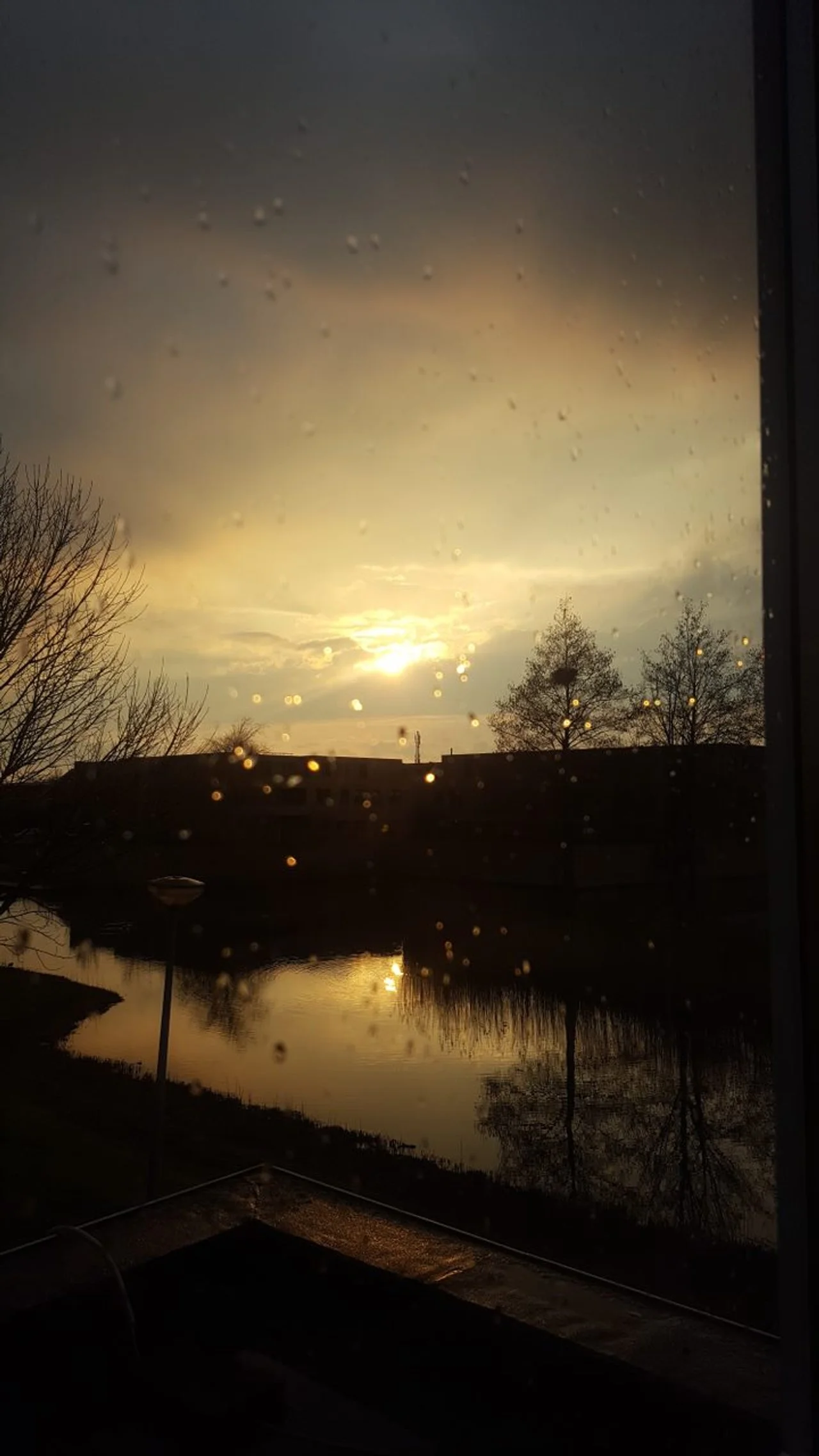 20180326_190800.jpg