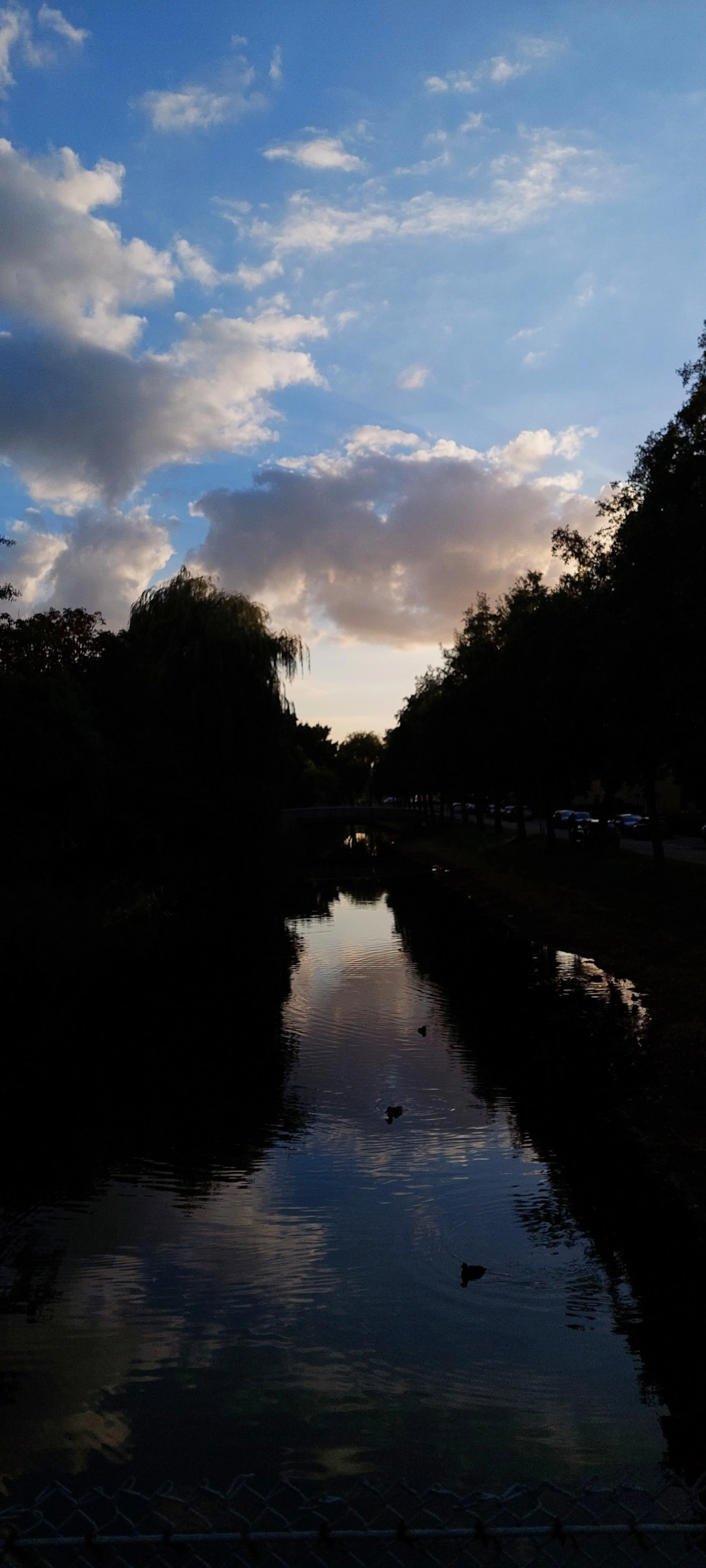 20221011_180606.jpg