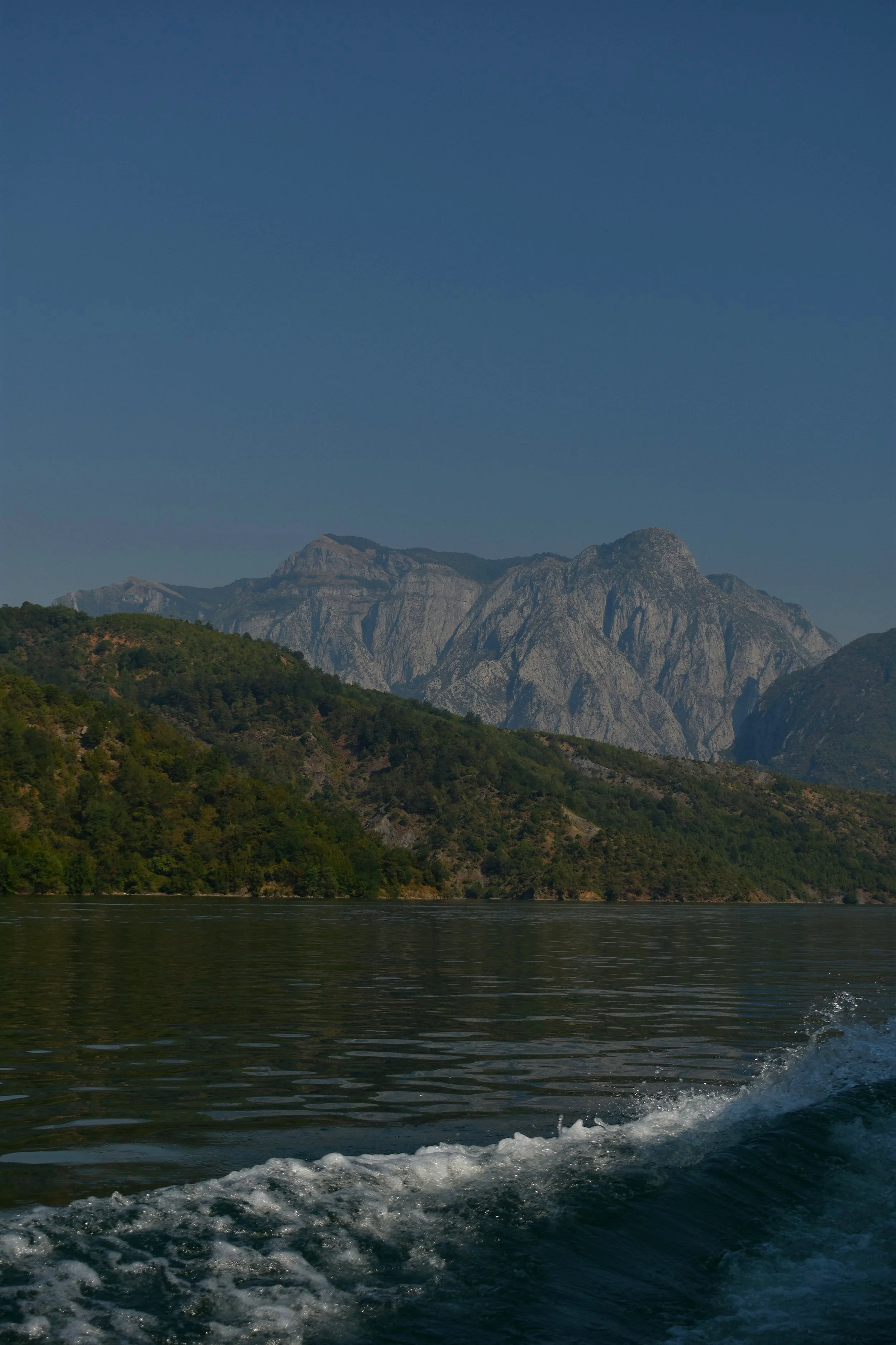 DSC_0099.jpg
