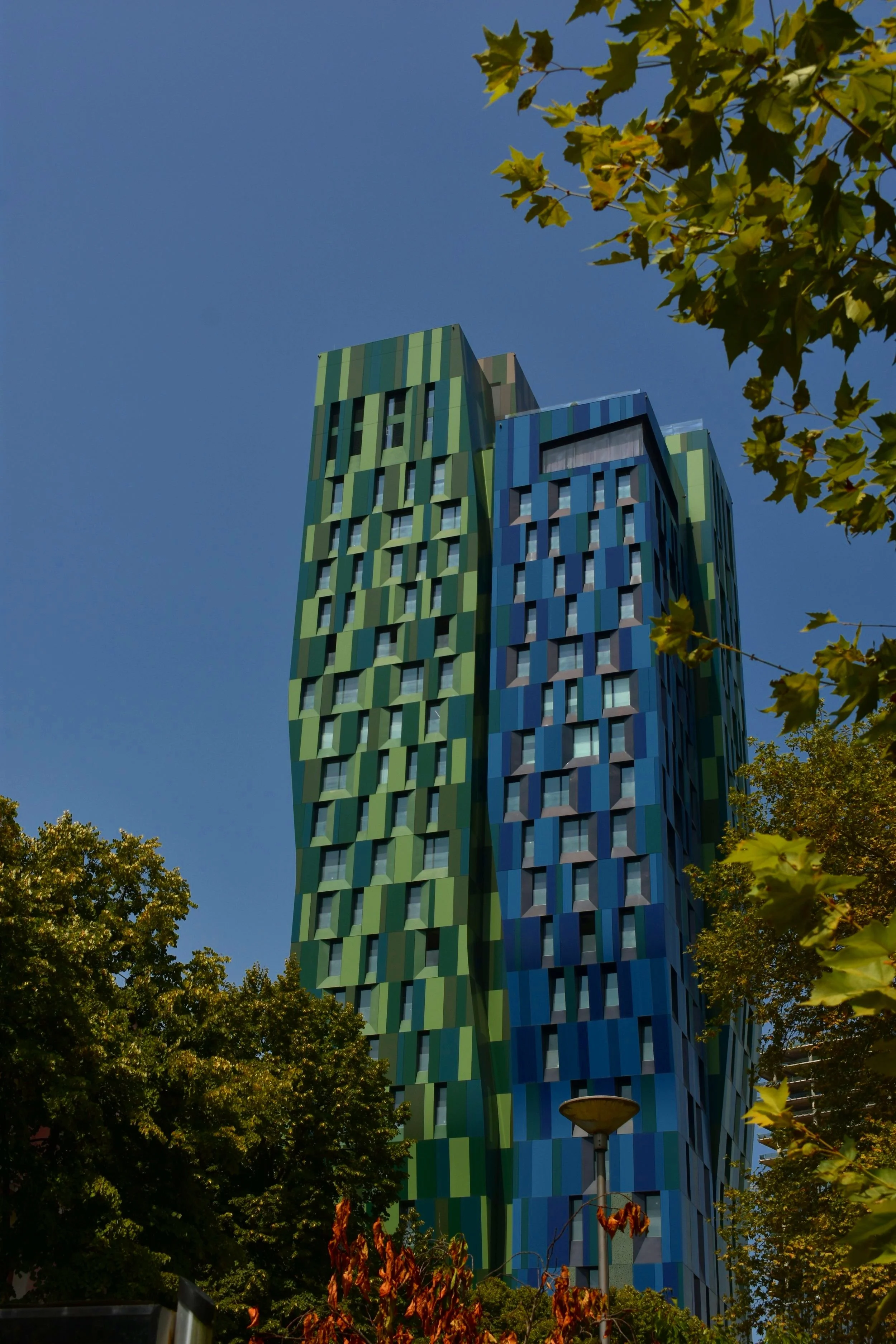 DSC_0306.jpg