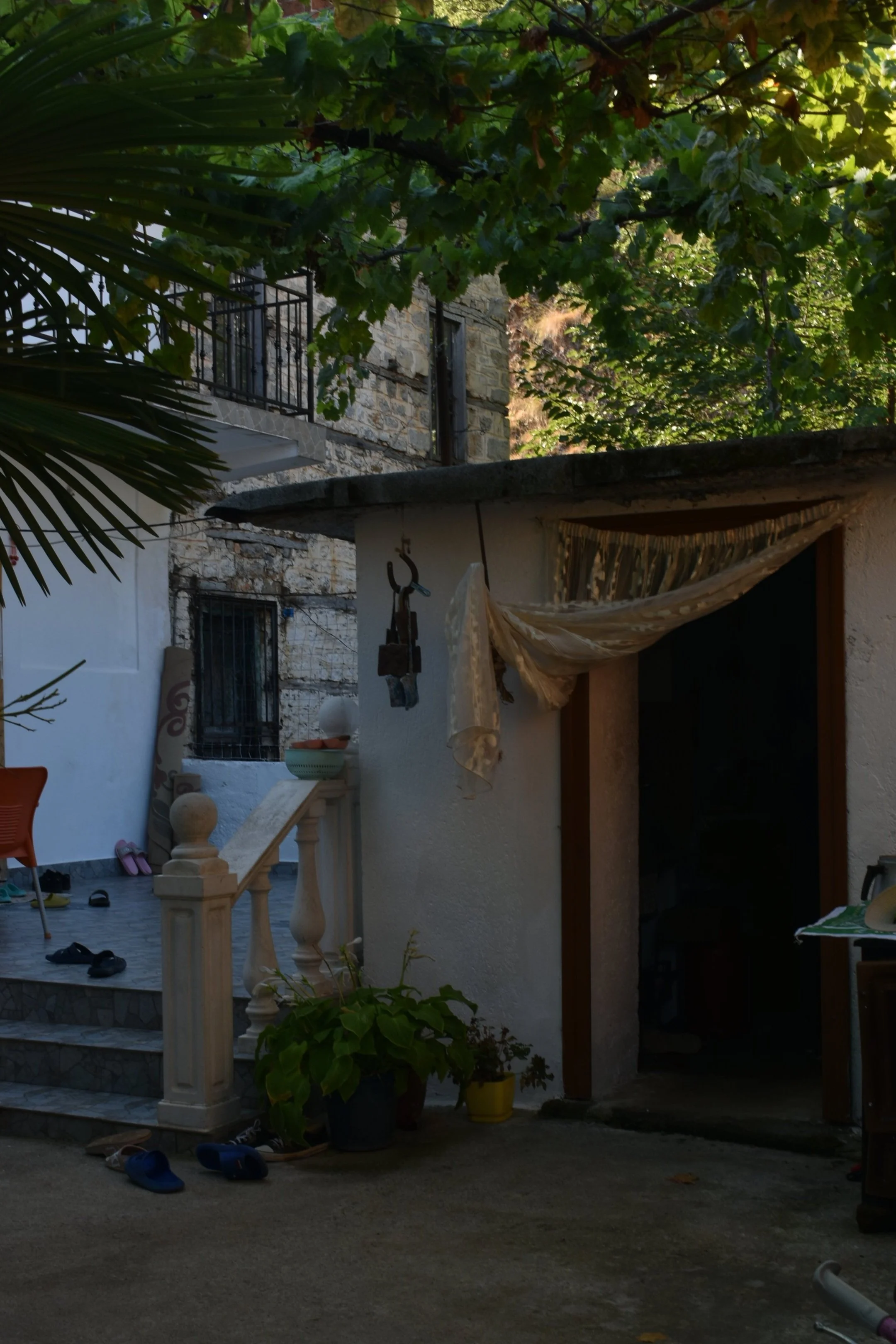 DSC_0421.jpg