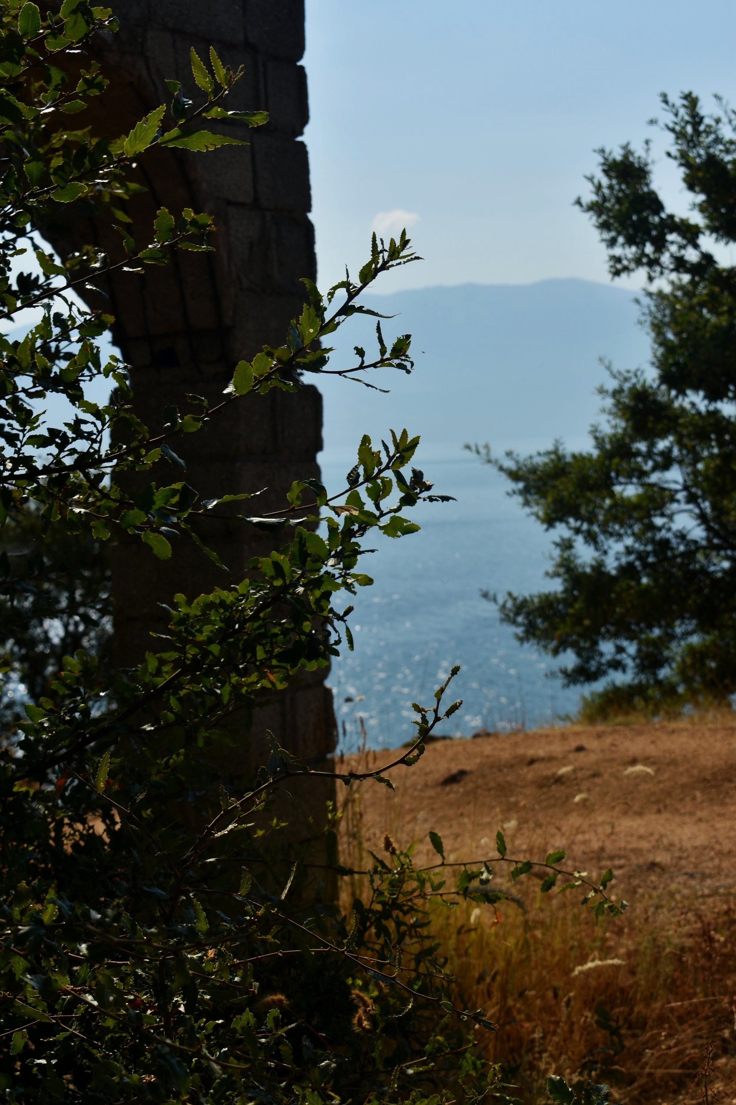 DSC_0492.jpg