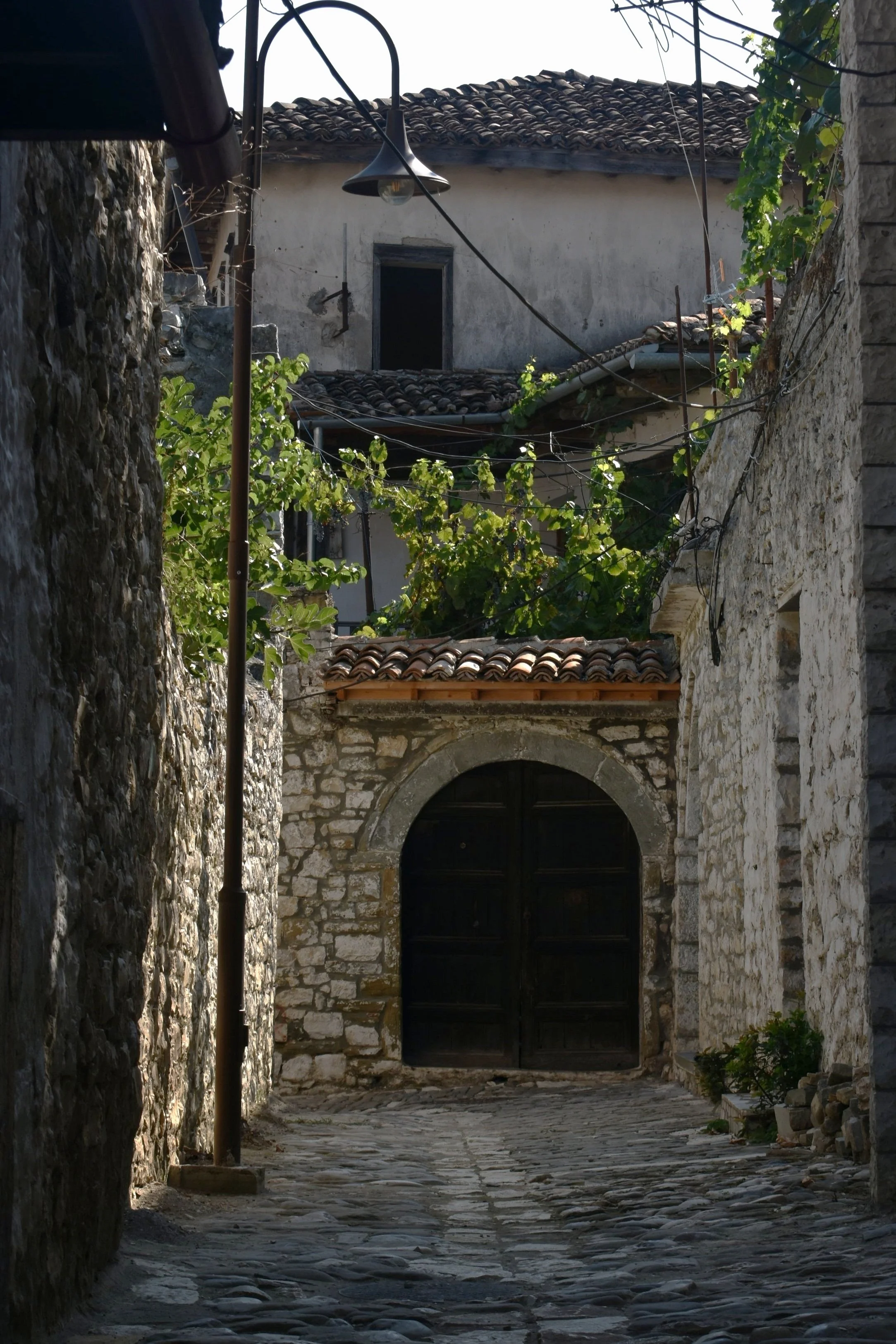 DSC_0731.jpg