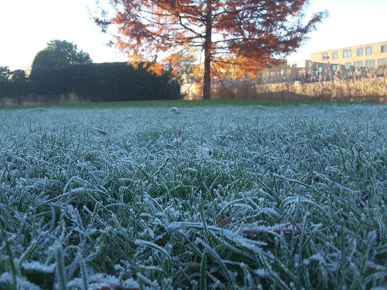 20161129_142957 1.jpg