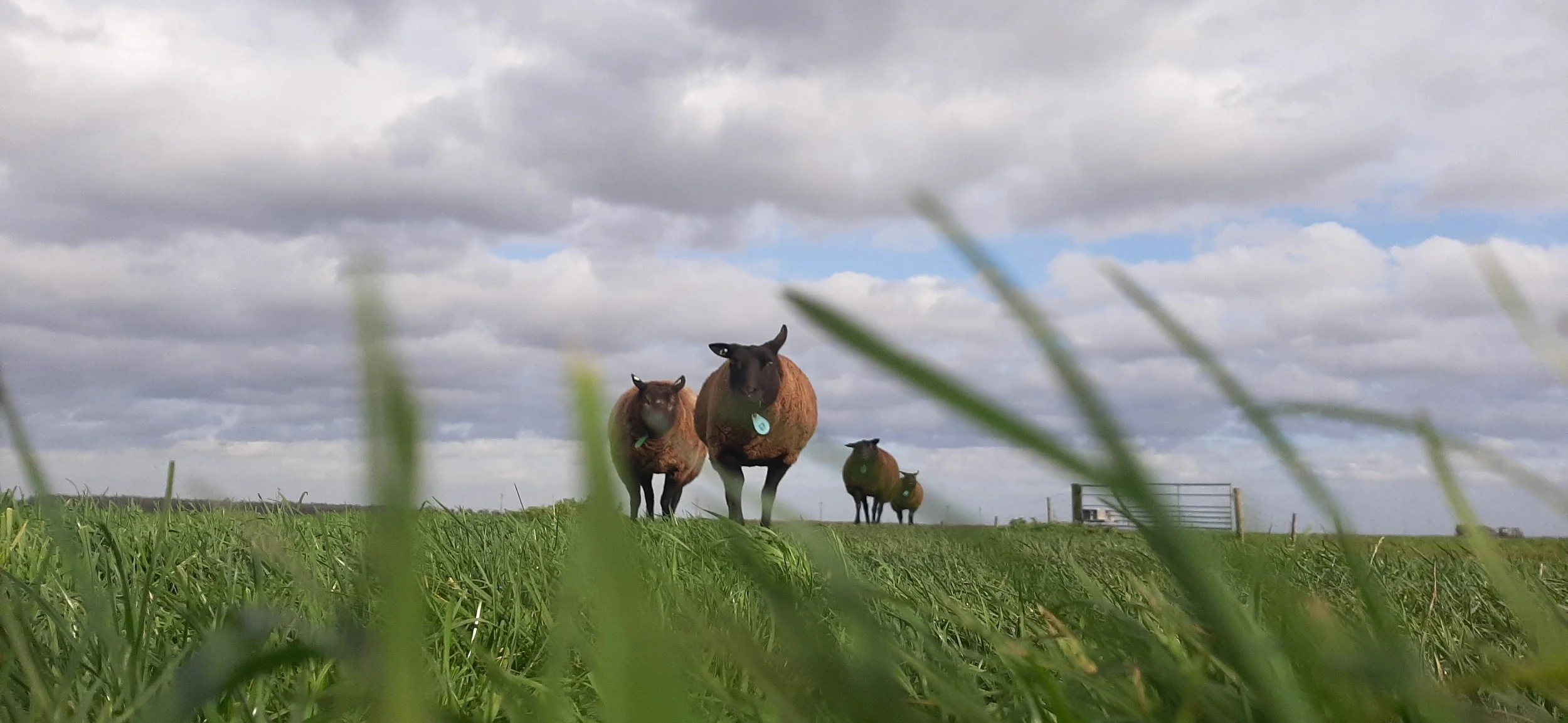 20201103_135510.jpg