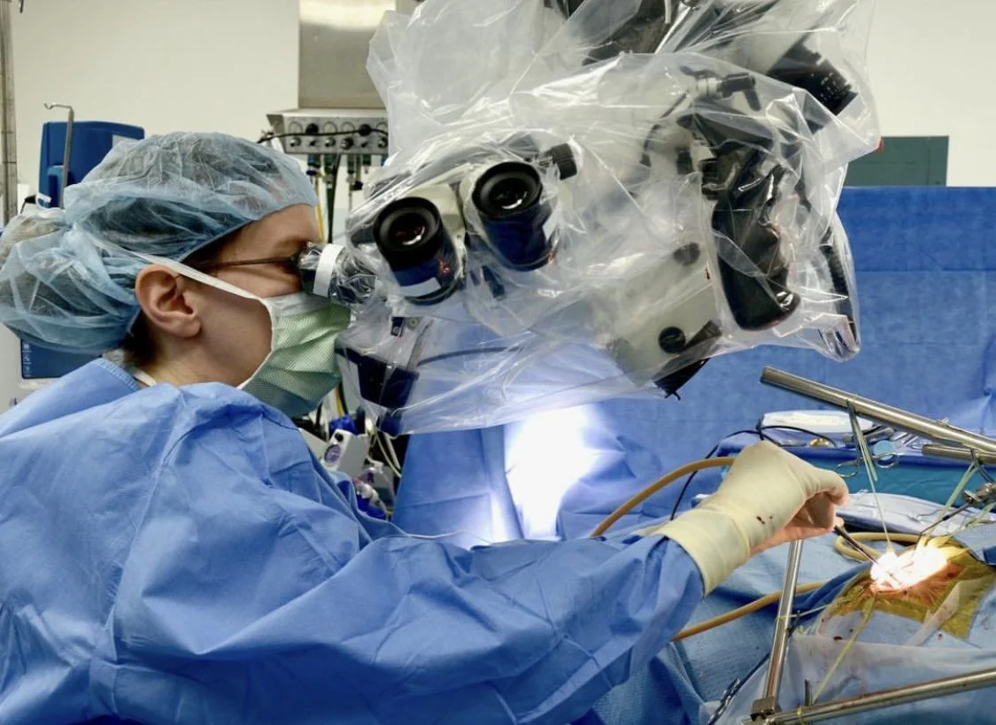 Neurosurgeons In Terre Haute Indiana About Dr. Richardson - Neurosurgeon in Indiana — Angela M. Richardson