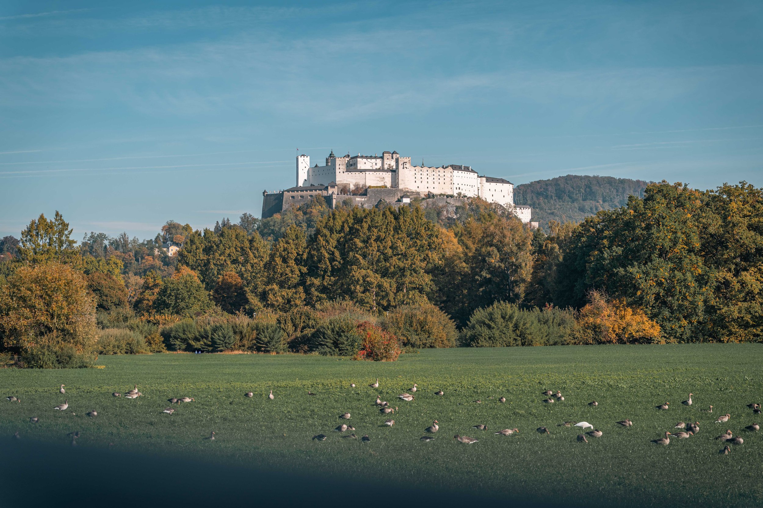 2026-10-20 Design Apartement Salzburg-149.JPG