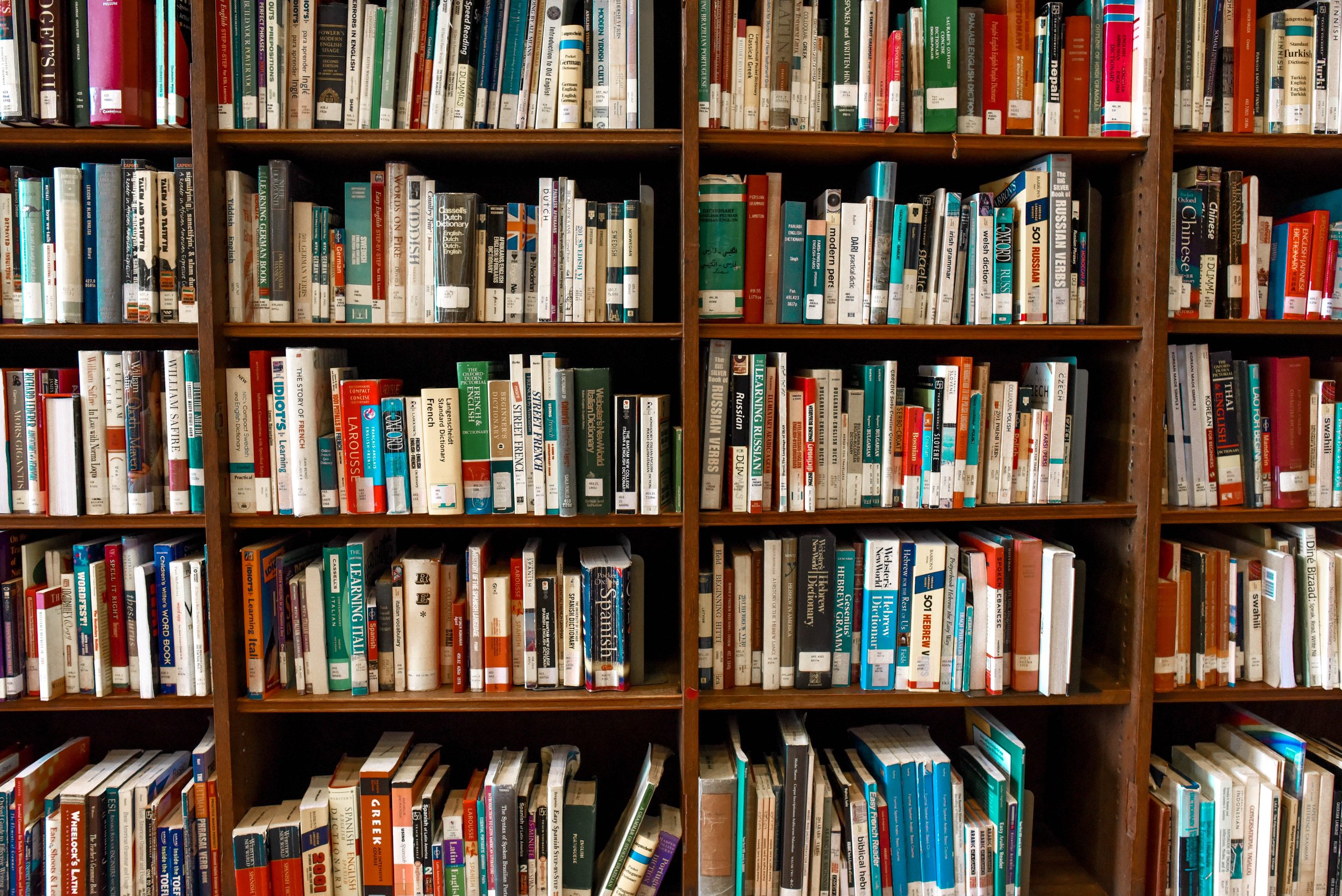 Os livros que estão na minha lista de leitura 2024