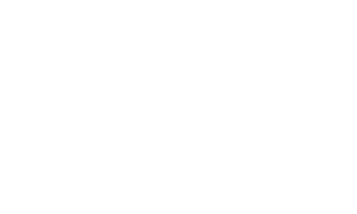 Vidya Investments