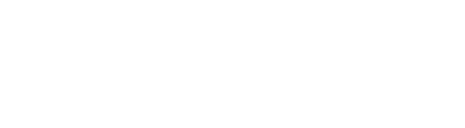 Little Thief Studio