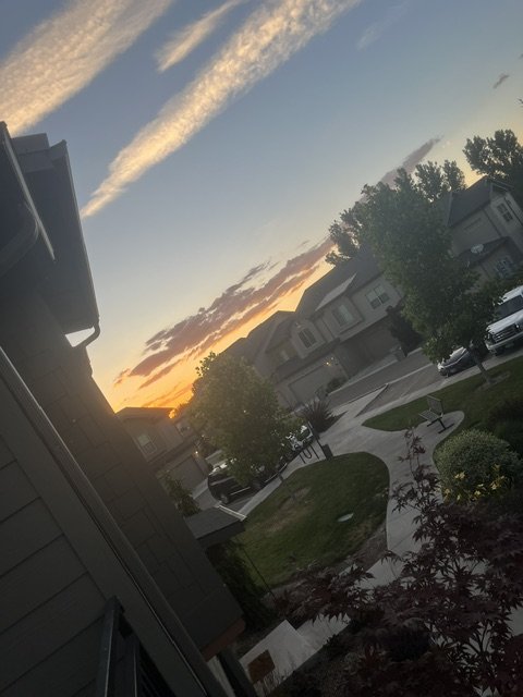 IMG_3361.jpeg