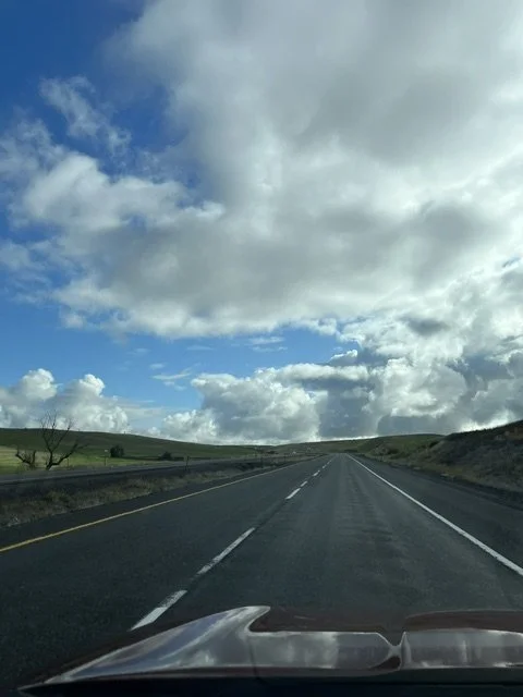 IMG_3958.jpeg