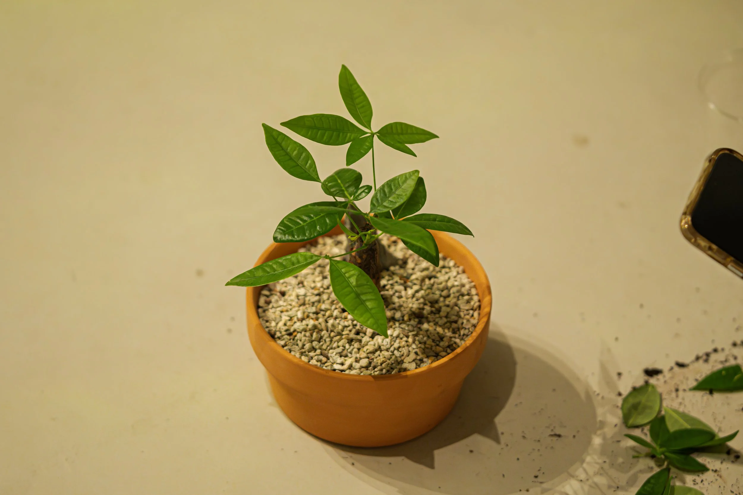 Feel Trip Image 2-197.jpg