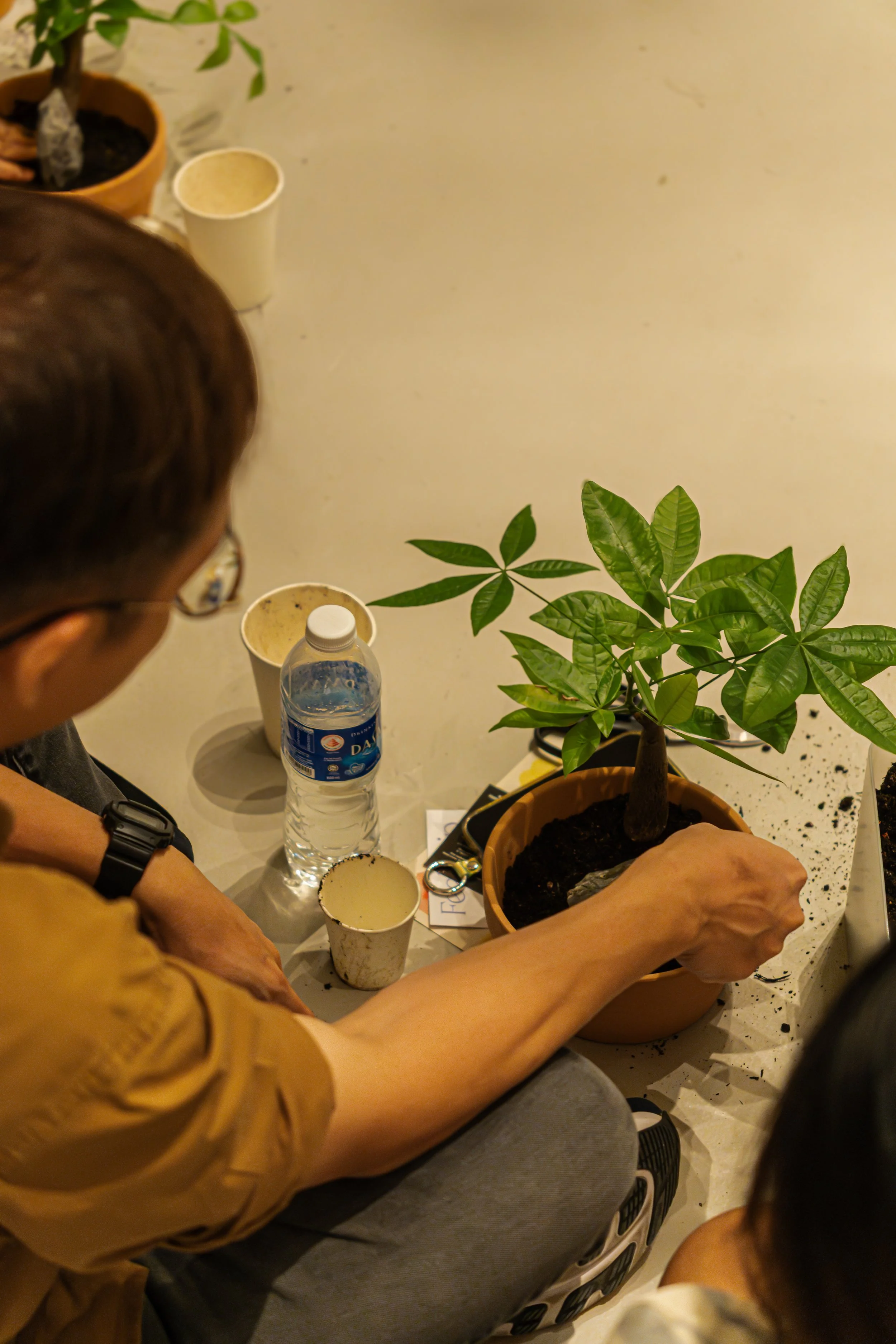 Feel Trip Image 2-172.jpg