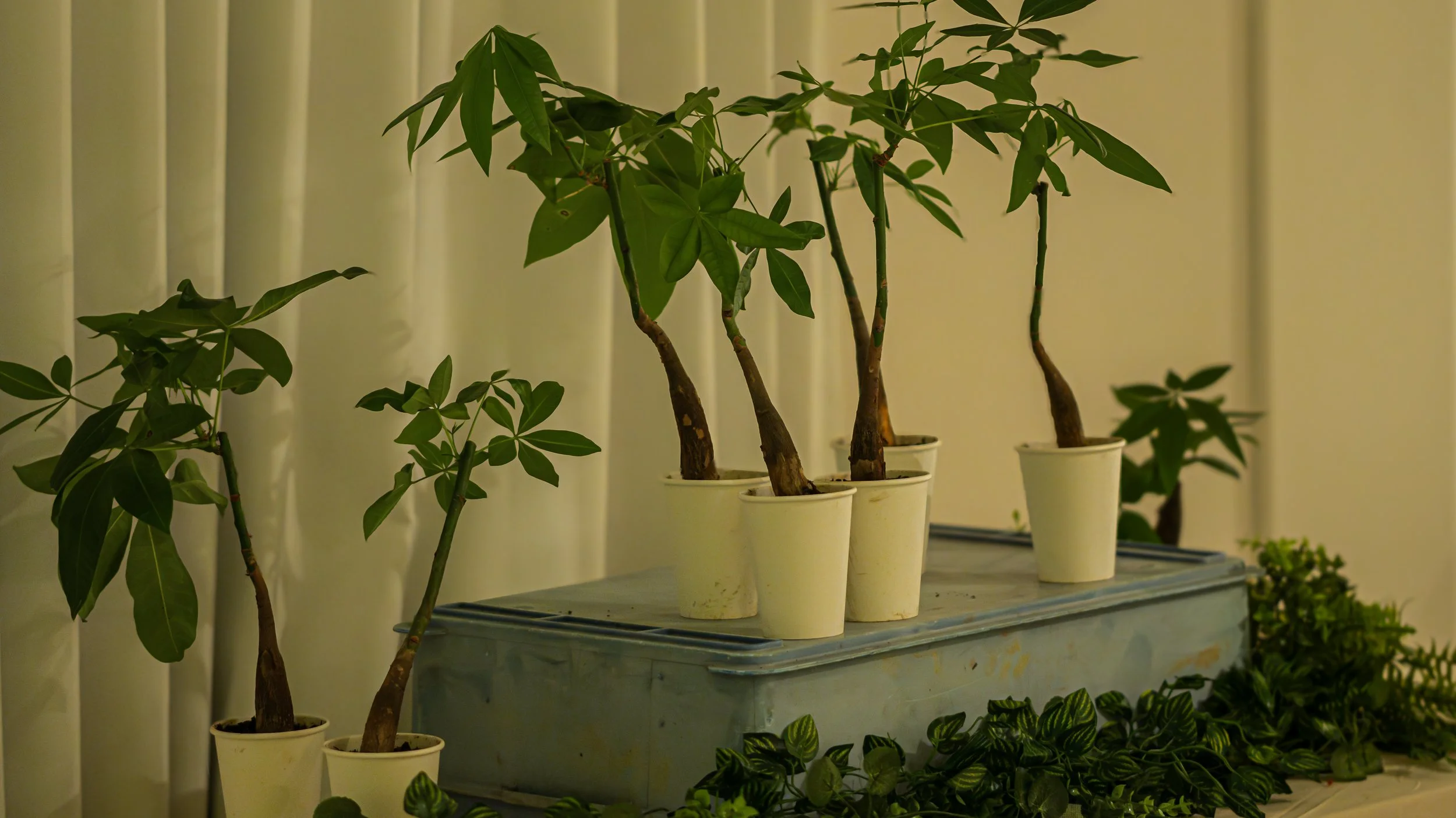 Feel Trip Image 2-408.jpg