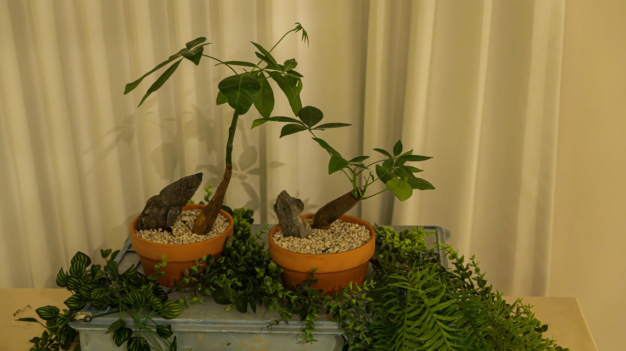 Feel Trip Image 1-72.jpg