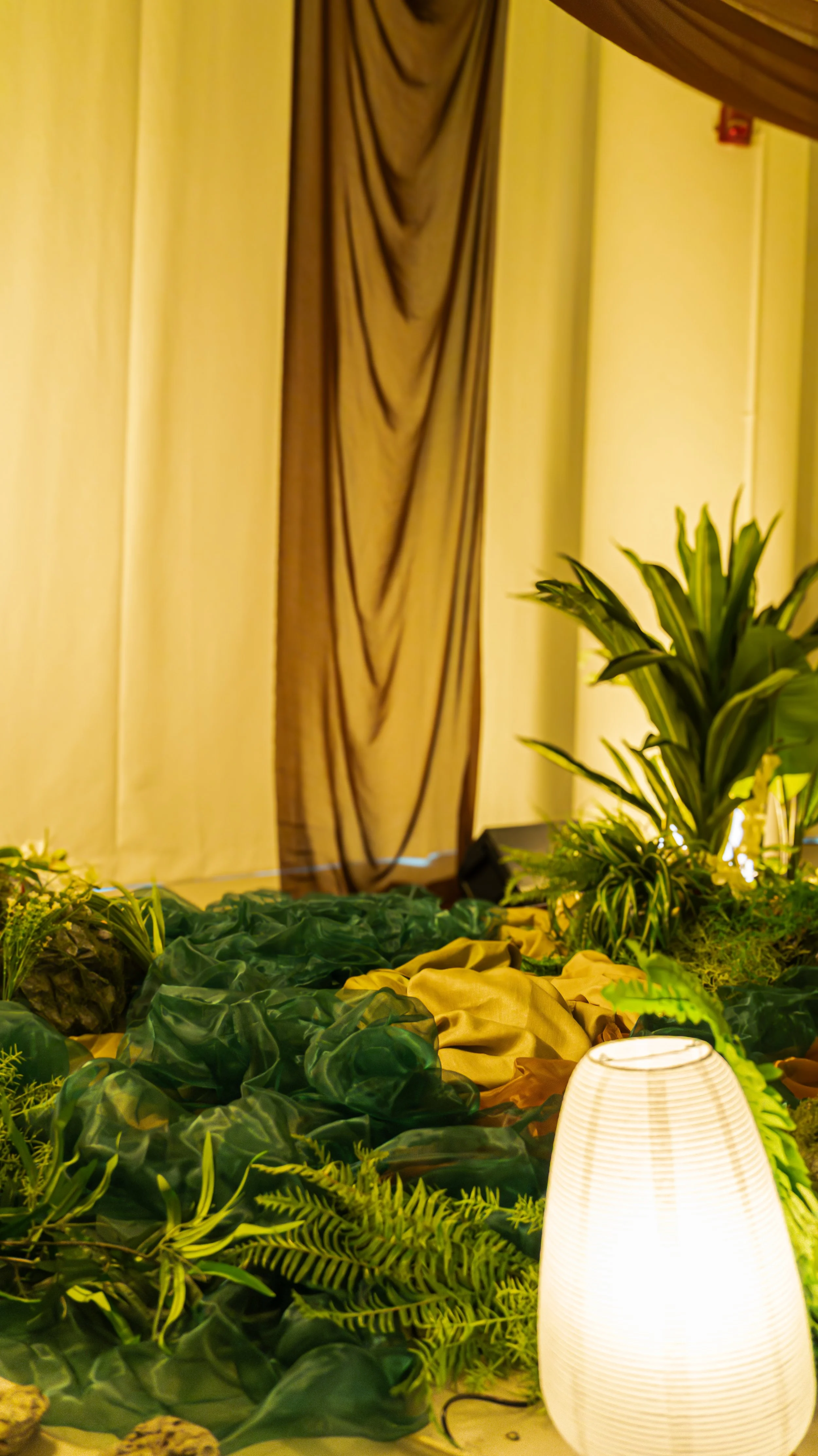 Feel Trip Image 2-372.jpg