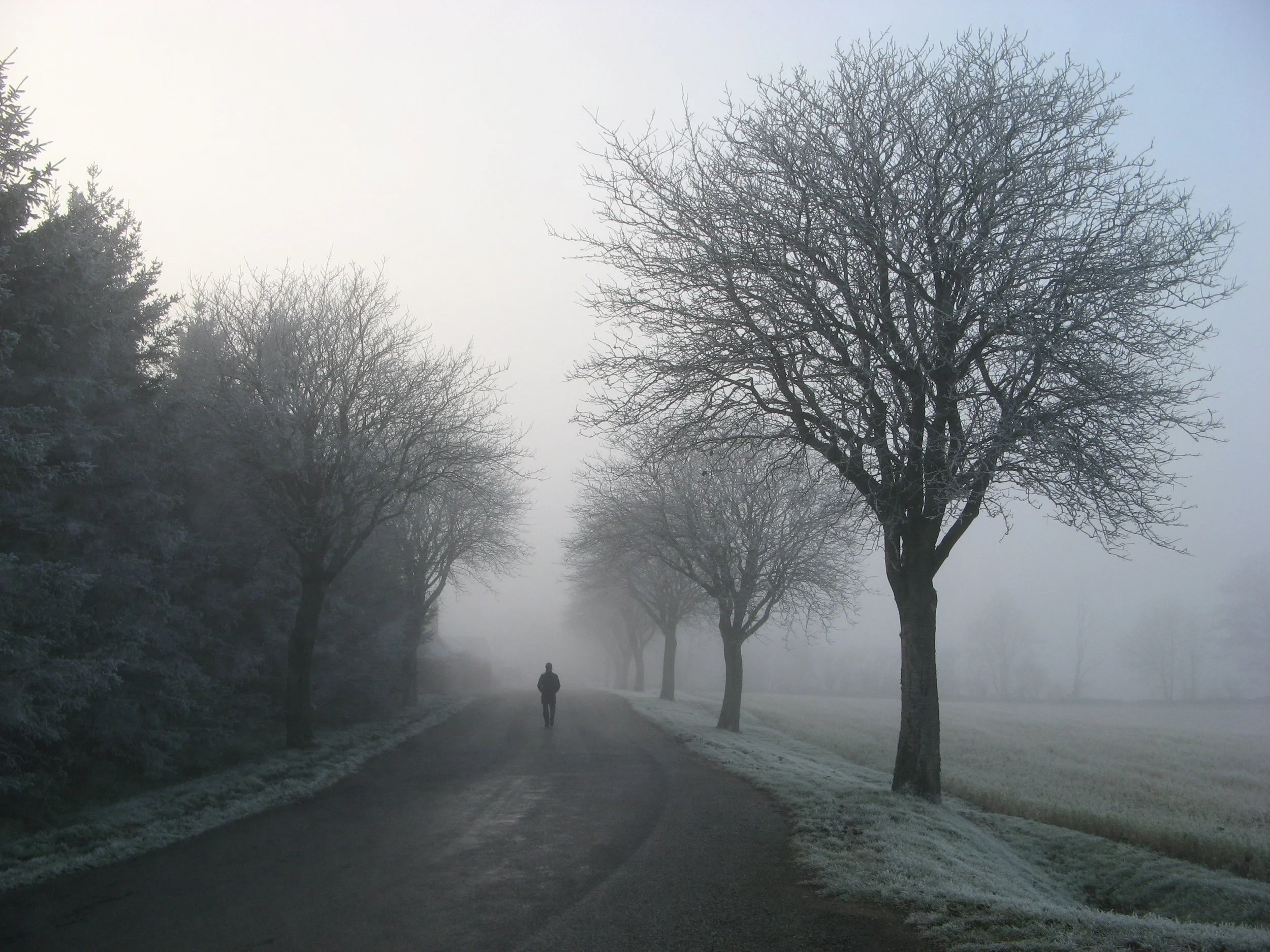 8 mood-boosting tips to battle seasonal affective disorder and get you through winter