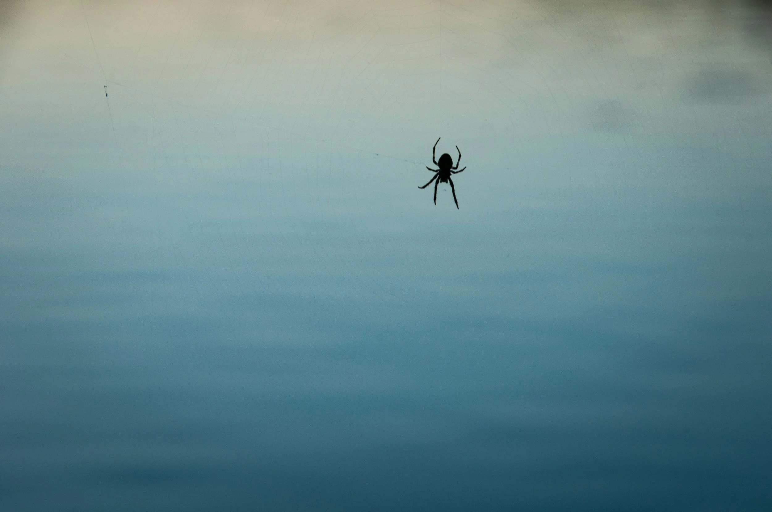 hypnotherapy for phobias wilmslow with Diamond wellbeing