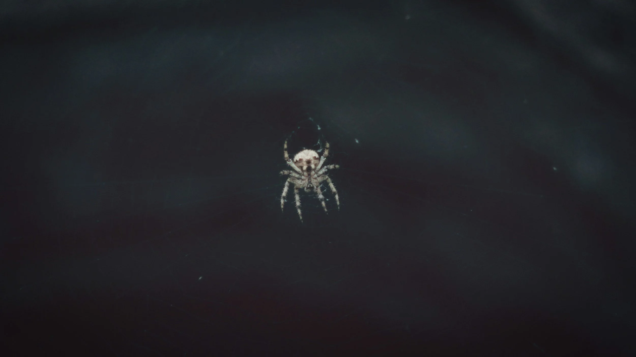 Phobia Resolution Through Regression and Hypnotherapy