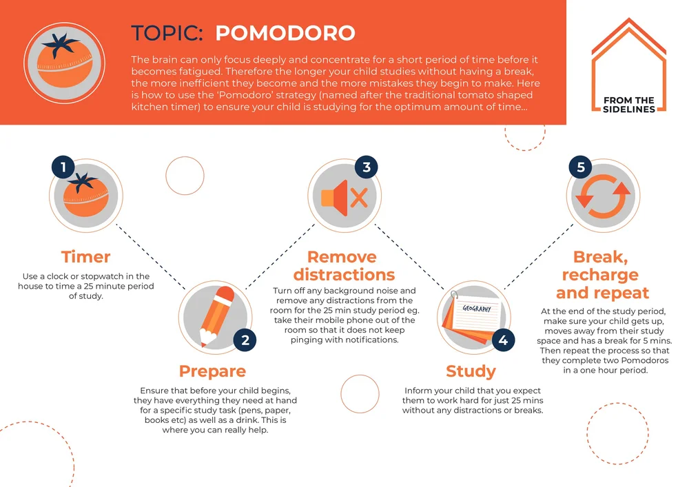infographic on optimum study time