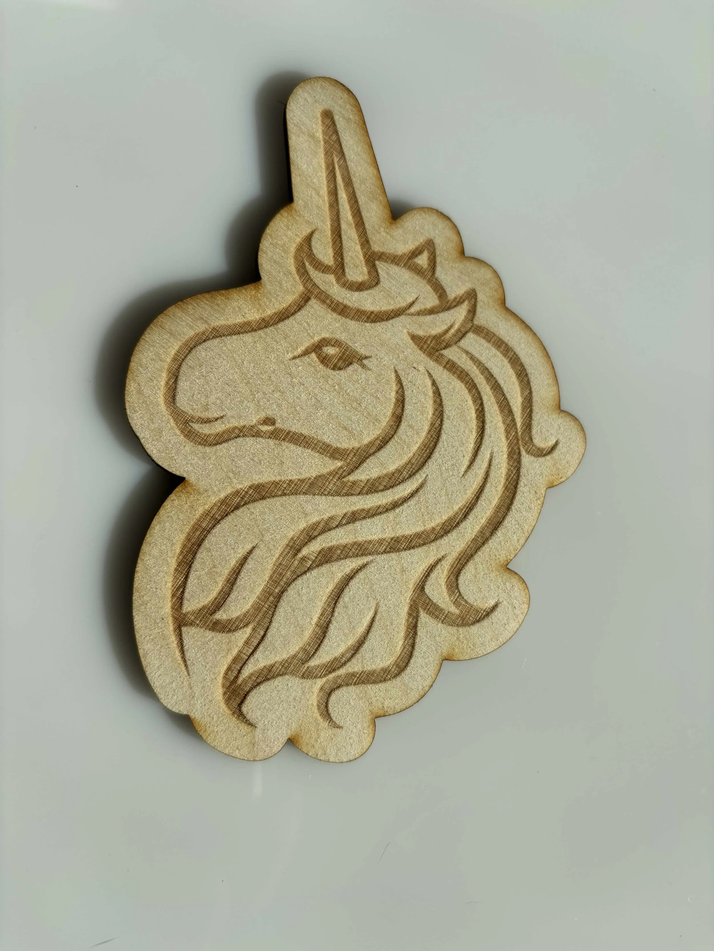 Flowy Hair Unicorn.jpg