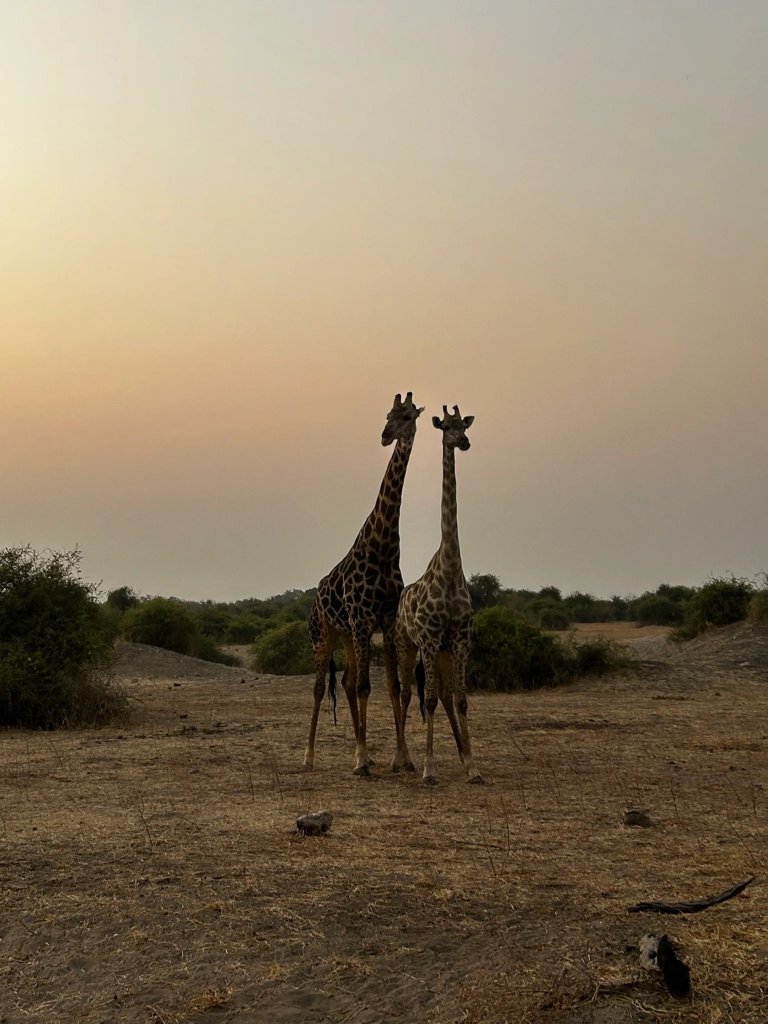 Botswana &amp; Zimbabwe Wellbeing and Safari Retreat