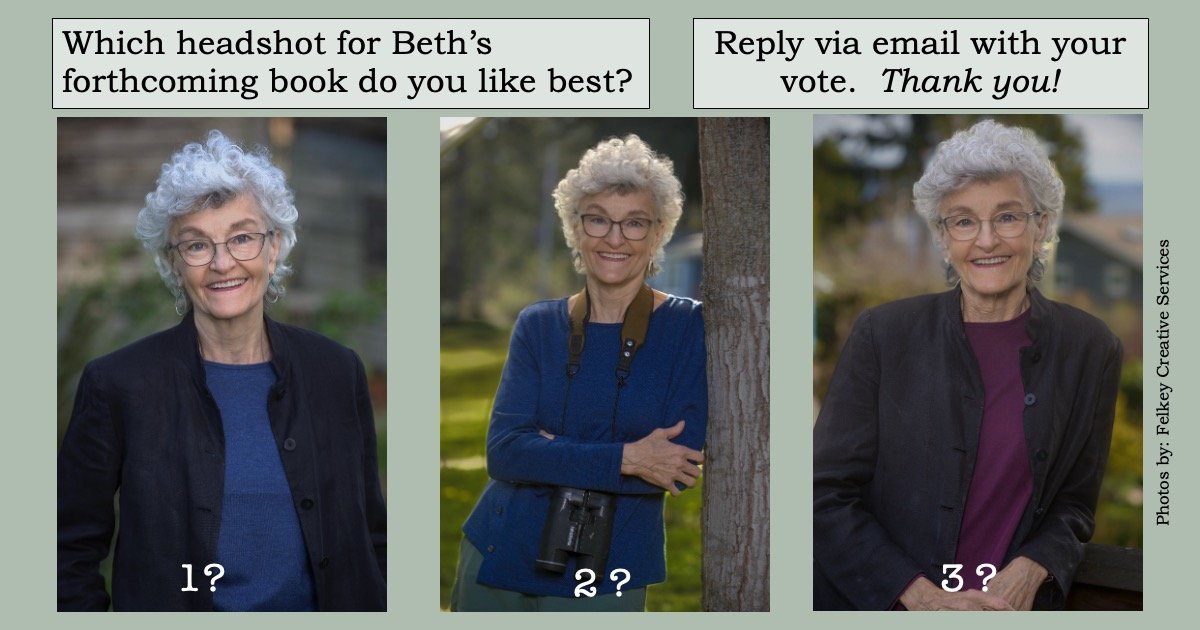 3 versions of Beth Mathews's author photo for readers to vote on.