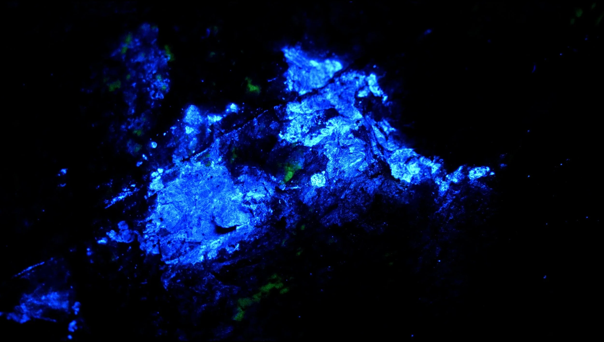 c1e92c8d-image_graded_cropped.jpg