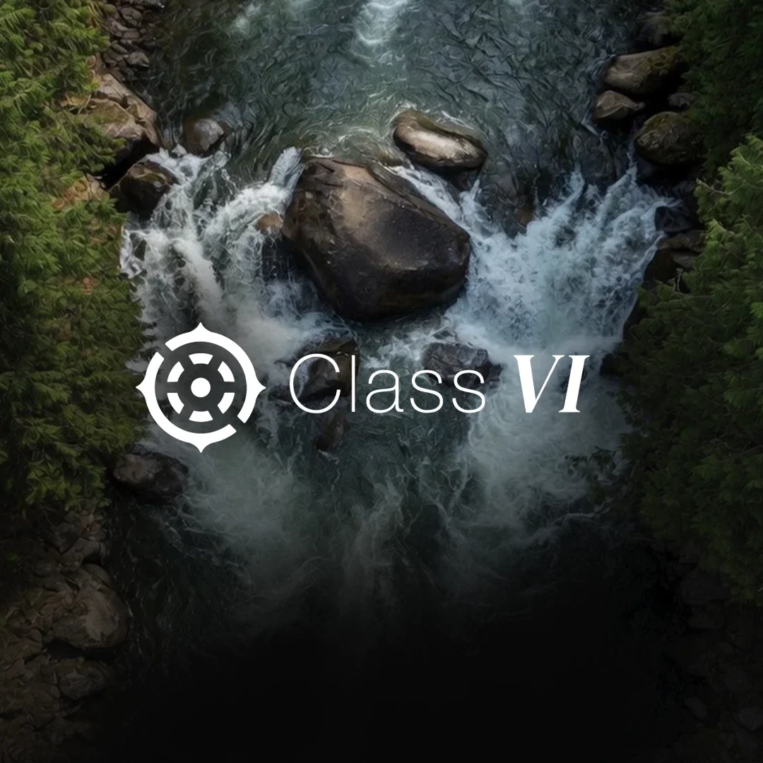 Class VI Partners