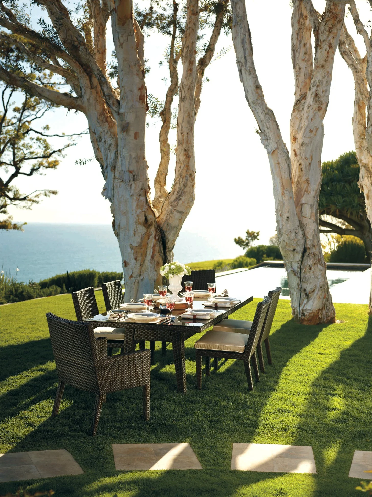 Dining Beneath the Paper Birch.jpg