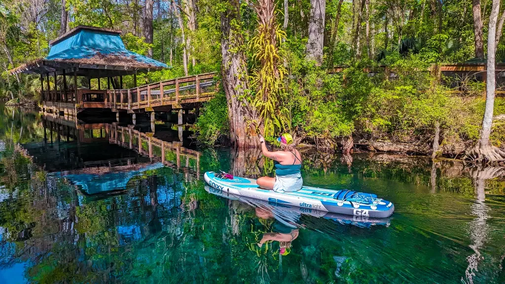 Paddleboarding at Silver Springs with Otter Paddle Orlando, the best paddle tours in Florida. 
